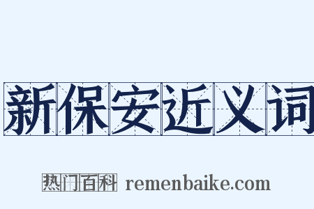 新保安近义词是什么意思的图片